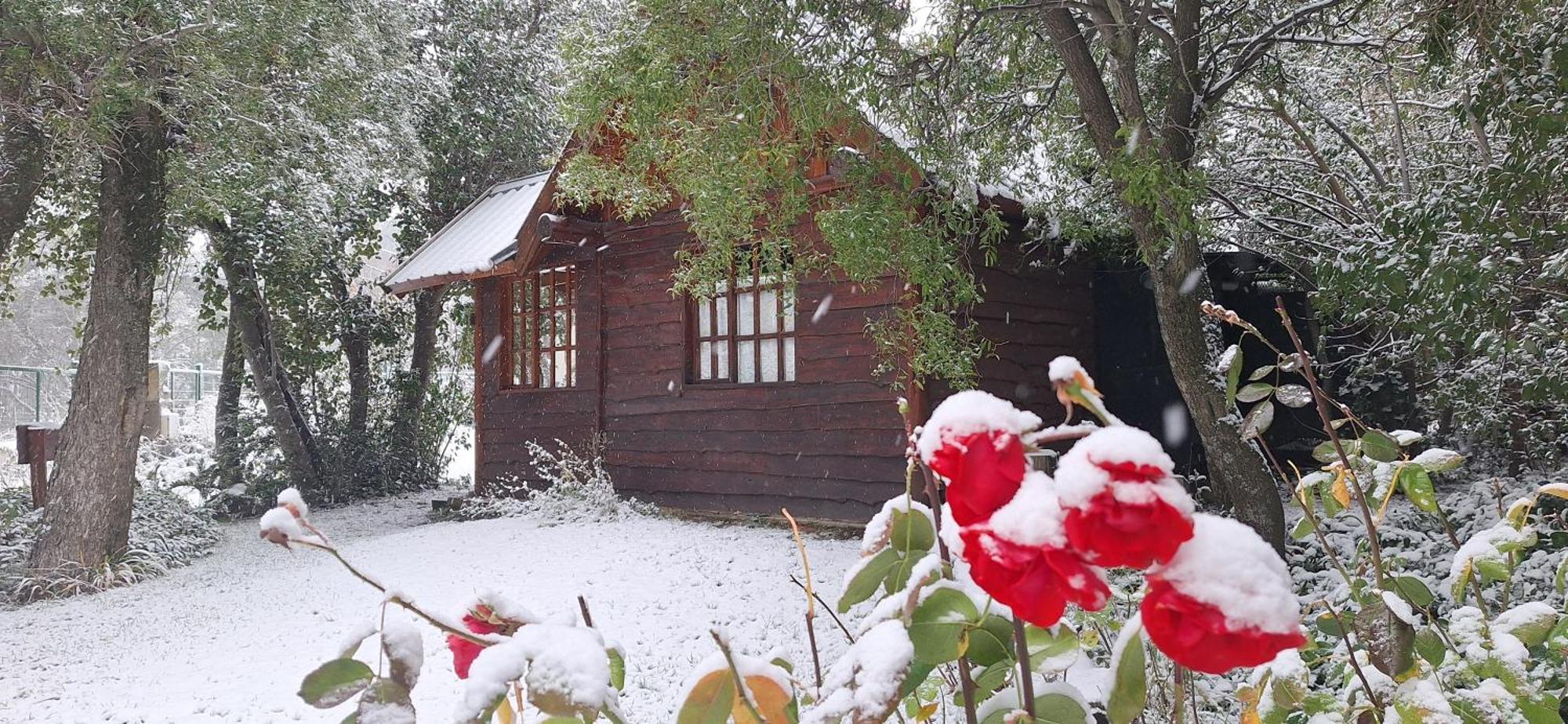 De Las Rosas Bariloche Dış mekan fotoğraf